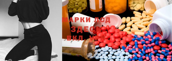 бошки Белокуриха