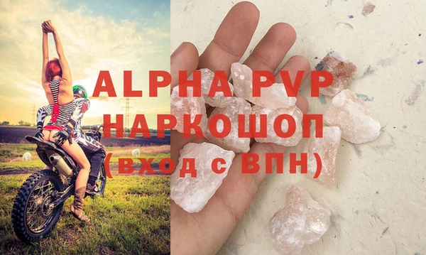 бошки Белокуриха