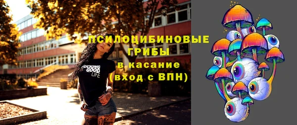твердый Балахна