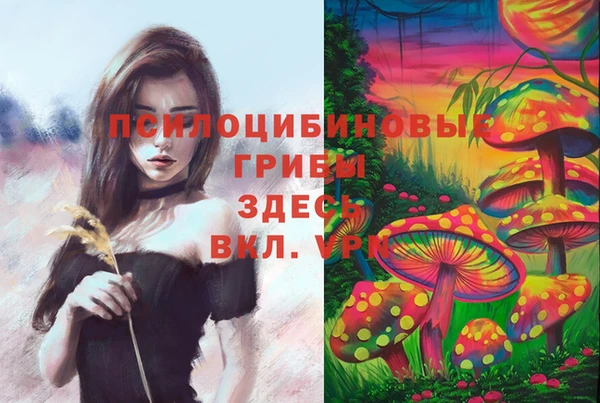 твердый Балахна